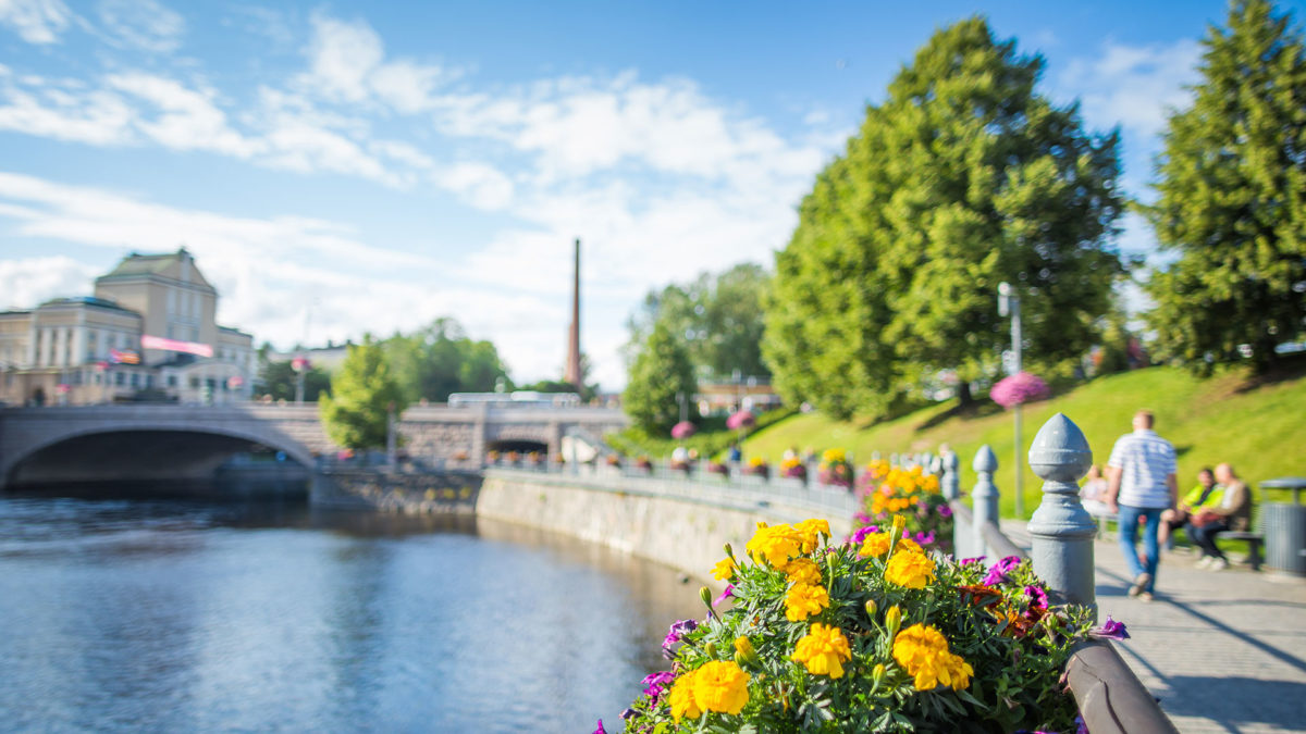 Green grass, flowers, and threes around the Tammerkoski. Sun is shining.