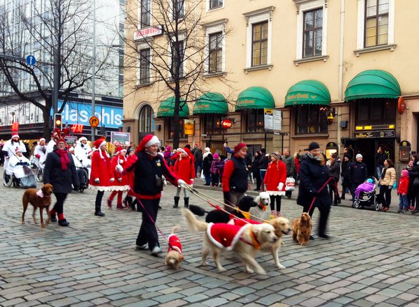 Jouluparaati Tampereella 16.11.2014 (Kuva: Olga Javits/Tredea Oy)​