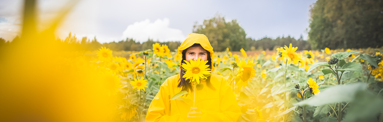 Visit Tampere Sunflowers Varsanpuisto autumn auringonkukkia Laura Vanzo 17