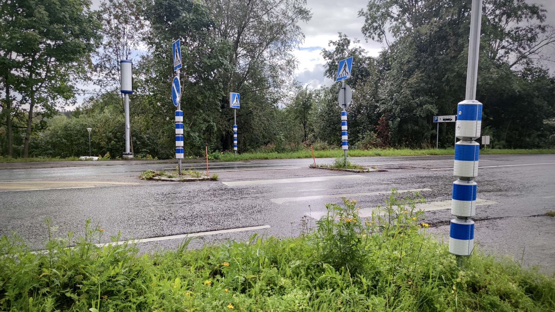 pedestrian crossing and safety devices