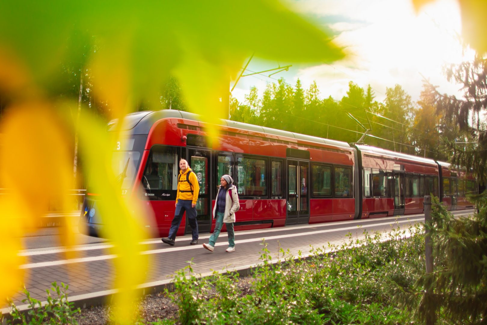 tramway forest hiking laura vanzo visit tampere 9 1