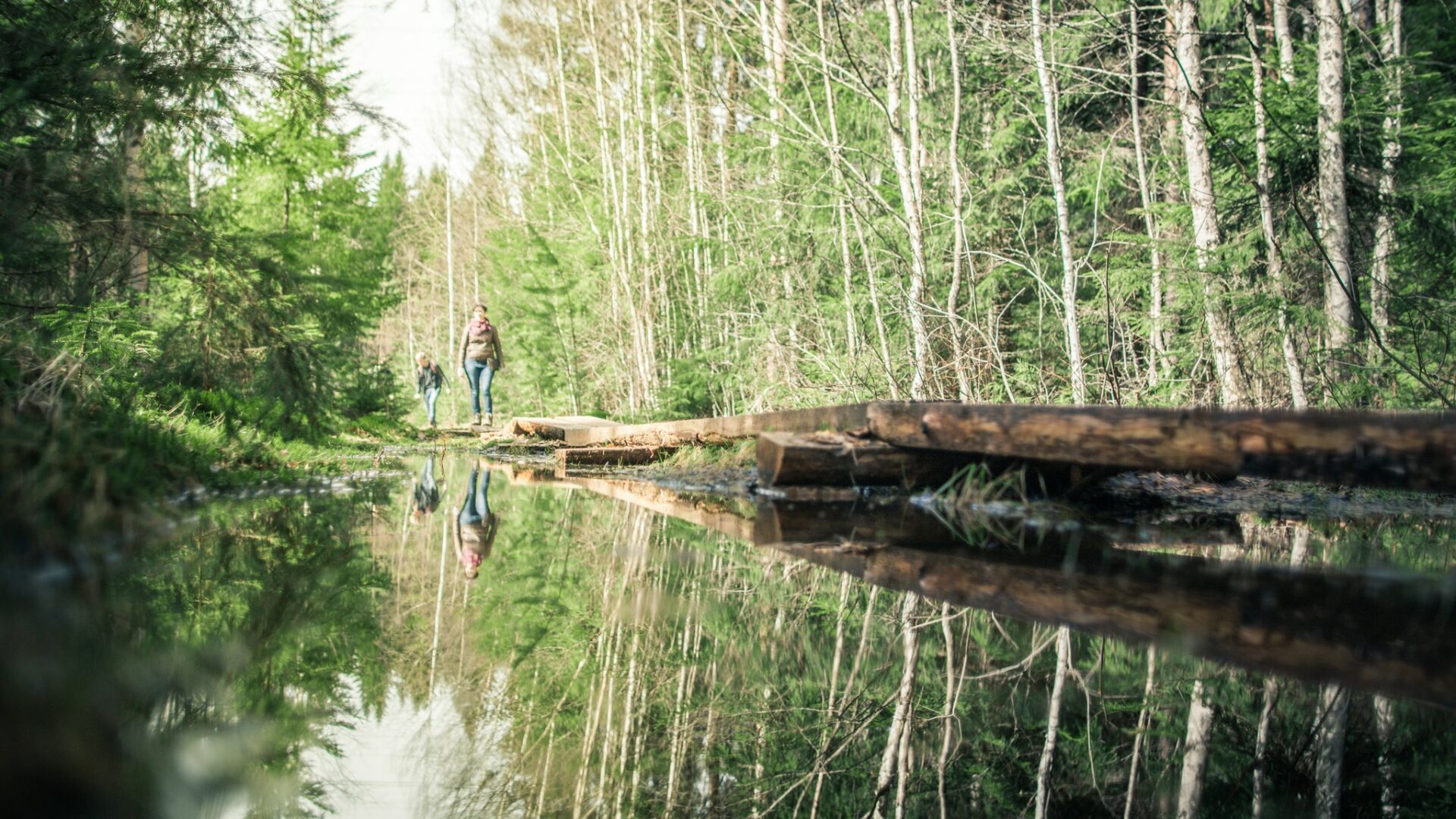 Visit Tampere Kintulammi nature Laura Vanzo 8